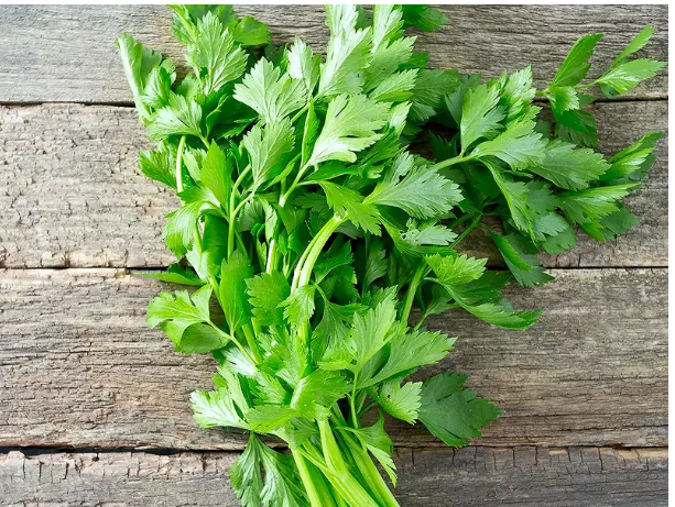 Nous donnons des conseils sur l’interprétation des phénomènes naturels et l'utilisation des astuces naturelles pour des soins de santé de toute sorte ....